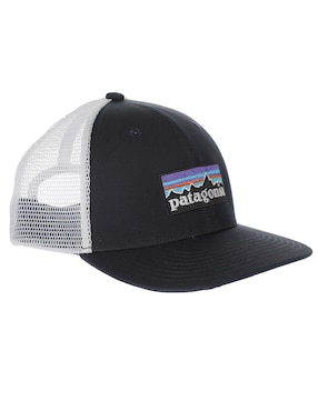 Gorra Visera Semicurva Snapback Patagonia Para Niño