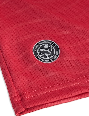 Jersey de Selección de fútbol de Portugal local de Ronaldo Mundial Puma jugador para niño
