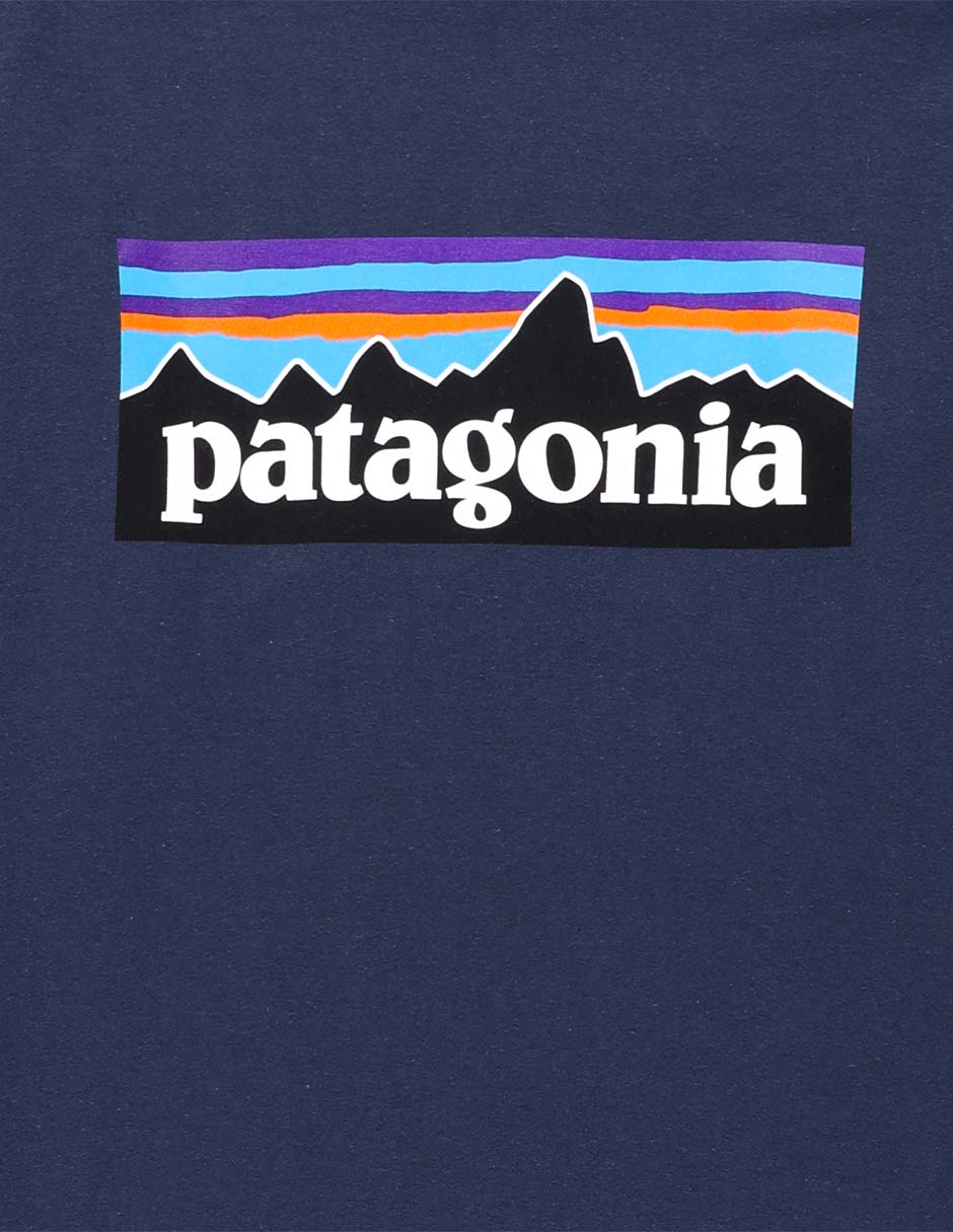 Playera deportiva outdoor Patagonia Long-Sleeved P-6 Logo de niño
